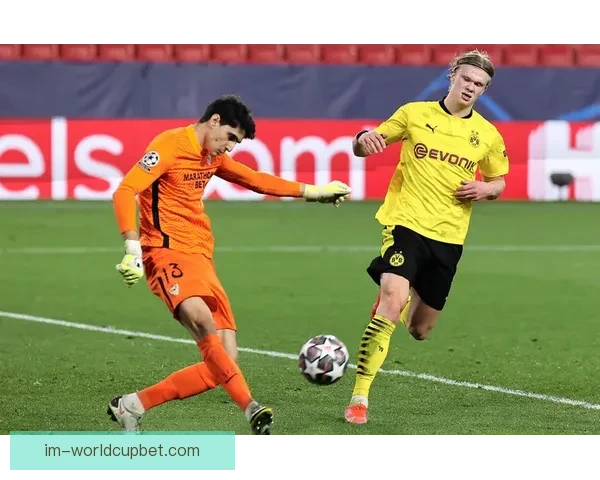 世界杯赛事竞猜推荐,精准分析助你赢得更多竞猜奖金 世界杯赛事竞猜推荐,精准分析助你赢得更多竞猜奖金