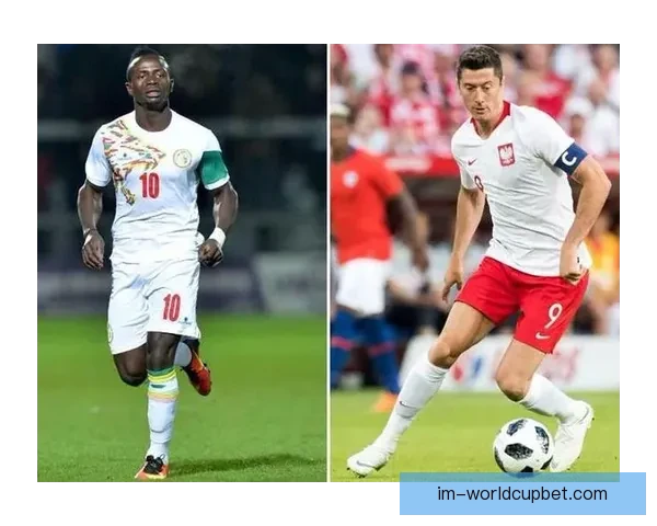 世界杯赛事竞猜预测分析尽在掌握带你精准预判每场精彩对决结果